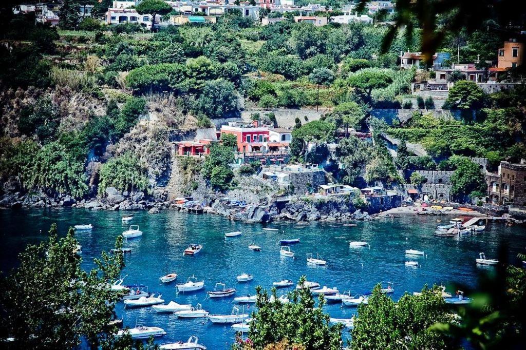 Hotel Villa Antonio Ischia Exteriér fotografie